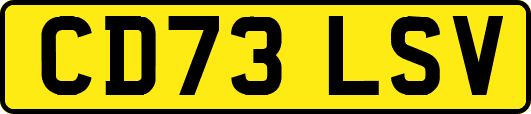 CD73LSV