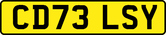 CD73LSY