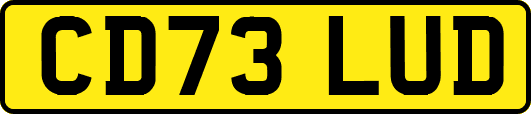 CD73LUD
