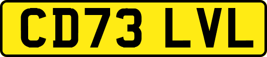 CD73LVL