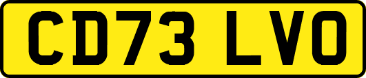 CD73LVO