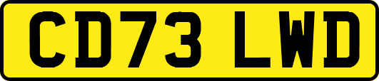 CD73LWD