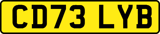 CD73LYB