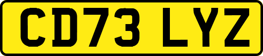 CD73LYZ