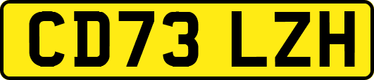 CD73LZH
