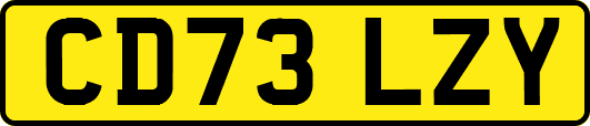 CD73LZY
