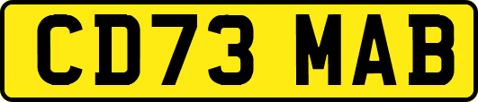 CD73MAB