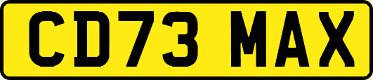 CD73MAX