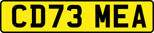 CD73MEA