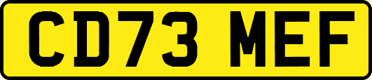 CD73MEF