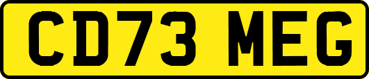 CD73MEG