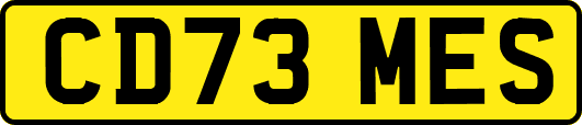 CD73MES