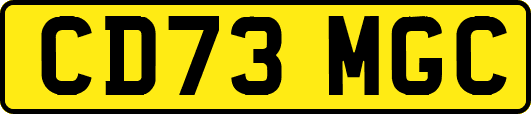 CD73MGC