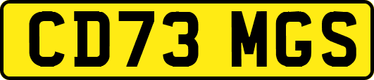 CD73MGS