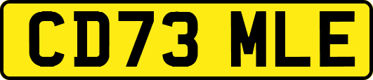 CD73MLE