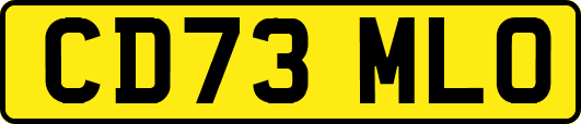 CD73MLO