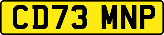 CD73MNP