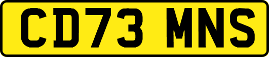 CD73MNS