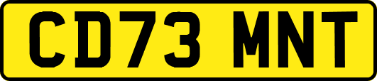 CD73MNT