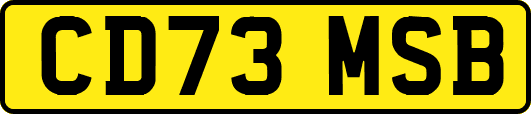 CD73MSB