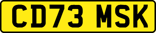 CD73MSK