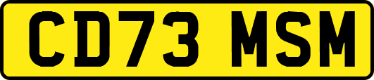 CD73MSM
