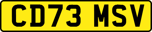CD73MSV