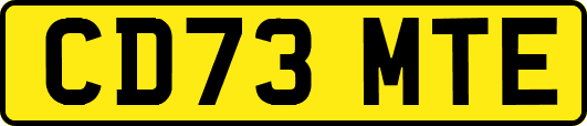 CD73MTE