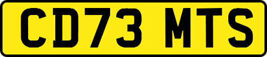 CD73MTS