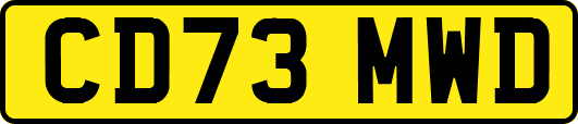 CD73MWD