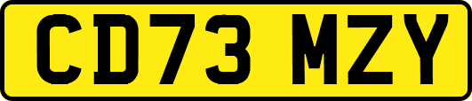 CD73MZY