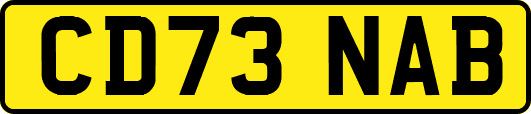 CD73NAB