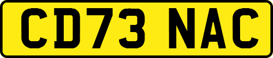 CD73NAC