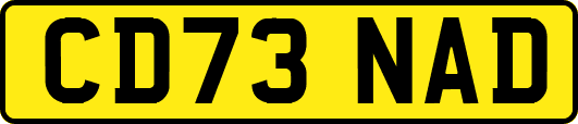 CD73NAD