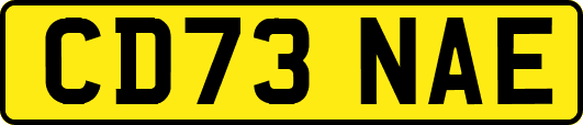 CD73NAE