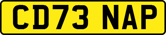 CD73NAP