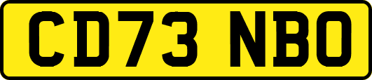 CD73NBO