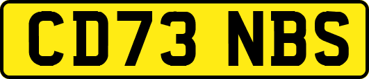 CD73NBS