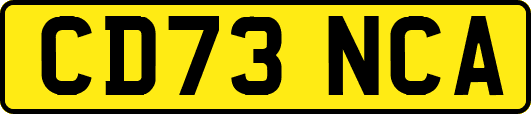 CD73NCA