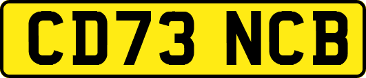 CD73NCB
