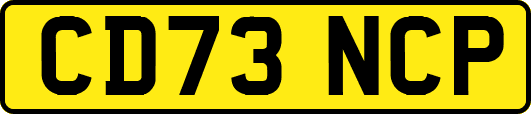 CD73NCP
