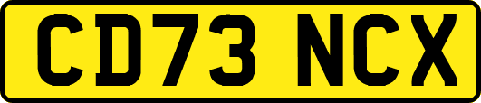 CD73NCX