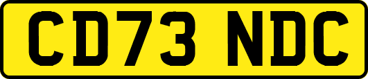 CD73NDC