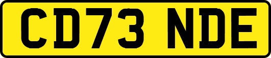 CD73NDE