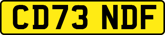 CD73NDF