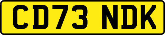 CD73NDK