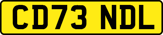 CD73NDL