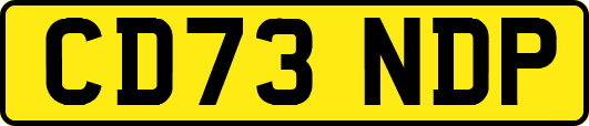 CD73NDP