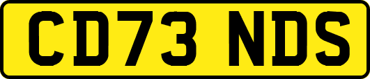 CD73NDS