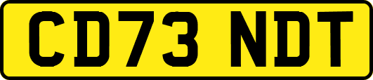 CD73NDT